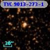 TYC 9013-273-1