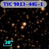 TYC 9013-445-1