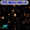 TYC 9013-492-1
