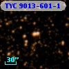TYC 9013-601-1