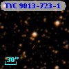 TYC 9013-723-1
