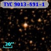 TYC 9013-891-1