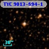 TYC 9013-894-1