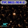 TYC 9013-954-1