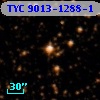 TYC 9013-1288-1