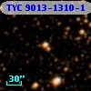 TYC 9013-1310-1
