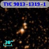TYC 9013-1319-1