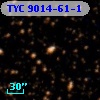 TYC 9014-61-1