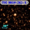 TYC 9014-262-1