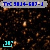 TYC 9014-607-1