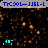 TYC 9014-1161-1