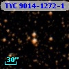 TYC 9014-1272-1