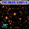 TYC 9014-1307-1