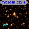 TYC 9015-222-1
