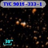 TYC 9018-333-1