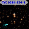 TYC 9018-524-1