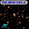 TYC 9018-775-1