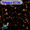 Trigger  6236