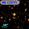 HD 129775