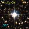 V* AV Cir