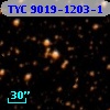 TYC 9019-1203-1