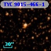 TYC 9015-466-1