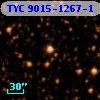 TYC 9015-1267-1