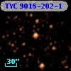 TYC 9018-202-1