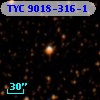 TYC 9018-316-1