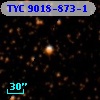TYC 9018-873-1