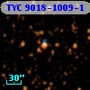 TYC 9018-1009-1