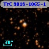 TYC 9018-1065-1