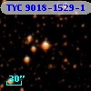 TYC 9018-1529-1