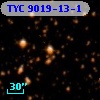 TYC 9019-13-1