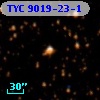 TYC 9019-23-1