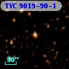TYC 9019-90-1