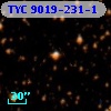 TYC 9019-231-1