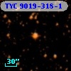 TYC 9019-318-1