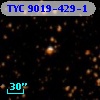 TYC 9019-429-1