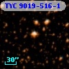 TYC 9019-516-1