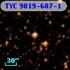 TYC 9019-607-1