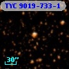 TYC 9019-733-1