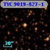 TYC 9019-827-1