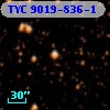 TYC 9019-836-1