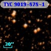 TYC 9019-878-1