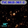 TYC 9019-907-1