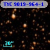 TYC 9019-964-1