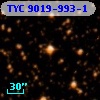 TYC 9019-993-1