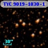 TYC 9019-1030-1
