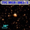 TYC 9019-1063-1
